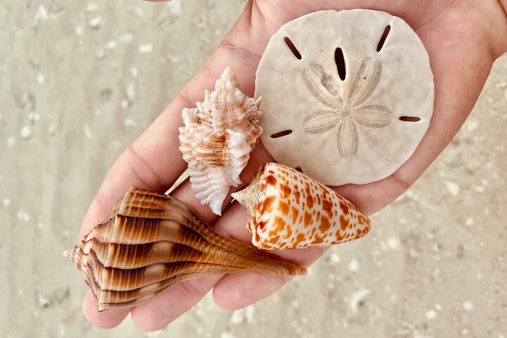 Experience Image img2