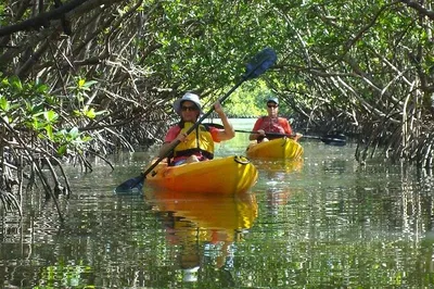 Bunche Beach Kayak & SUP Rental: 3-Hour Adventure