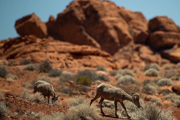 Experience Image img4