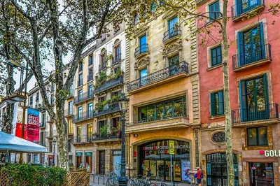 Madrid to Barcelona: A Luxurious Private Transfer with Cultural Stop