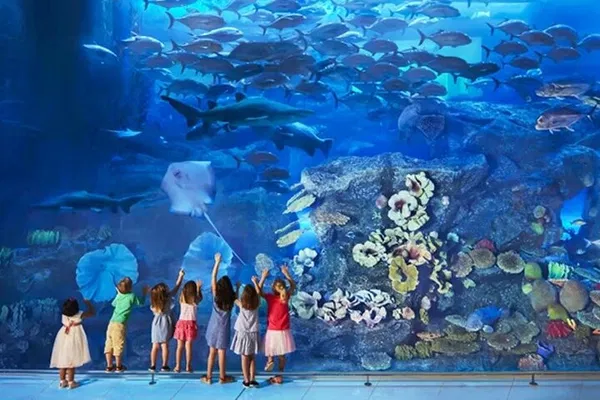 Dive into Wonder: Dubai Aquarium & Underwater Zoo Adventure!