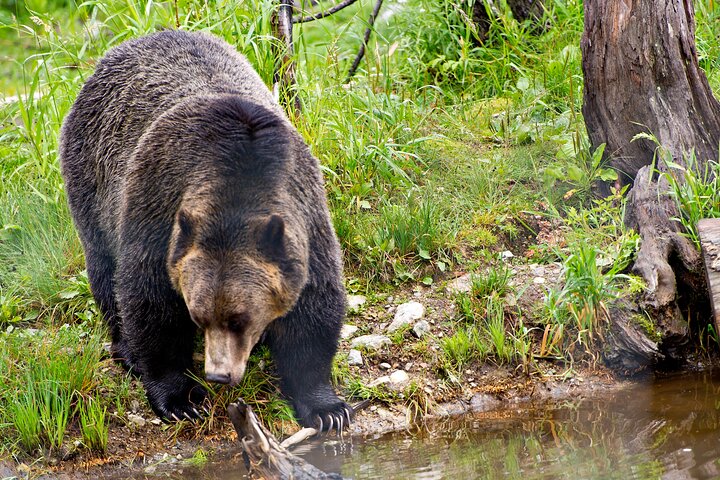 Experience Image img1