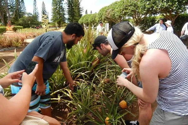 Oahu's Hidden Gems: Personalized Island Tour Adventure