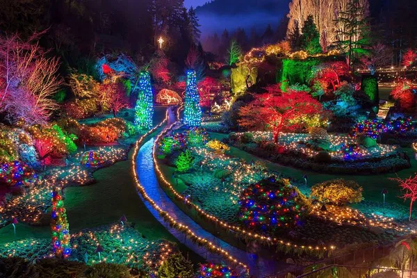 Victoria Christmas Lights Tour: Butchart Gardens Magic!