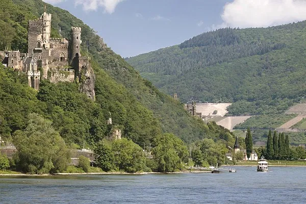 Rhine Valley Trip: Cruise, Wine, & History!