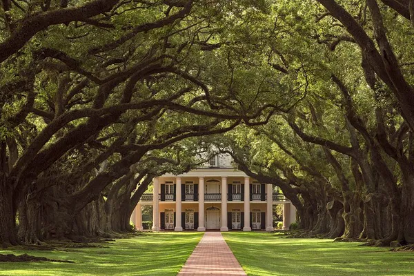 Unveiling New Orleans' History: Plantation & Swamp Adventure