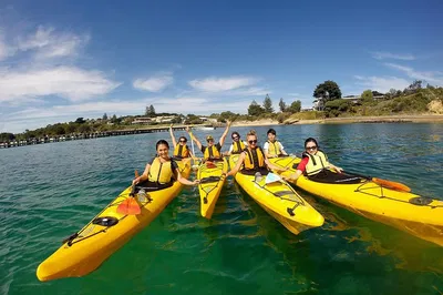 Glide into Paradise: Mornington Peninsula Kayak & Dolphin Sanctuary Tour!