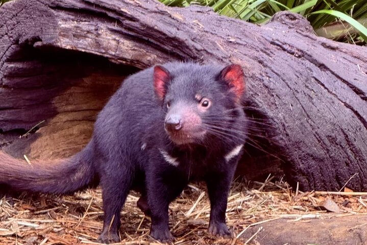 Experience Image img2