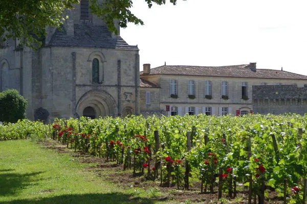 Discover Saint-Émilion: A Full-Day Wine Immersion from Bordeaux
