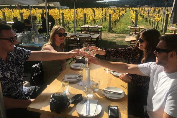 Wairarapa Wine Region: Exclusive Private Tour from Wellington