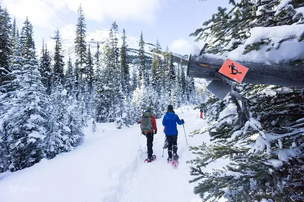 Kananaskis Snowshoeing: Winter Adventure Awaits!