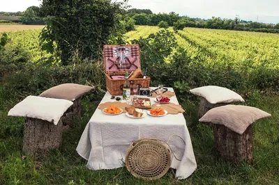 Verona Vineyard Escape: Private Picnic & Wine Tasting Bliss