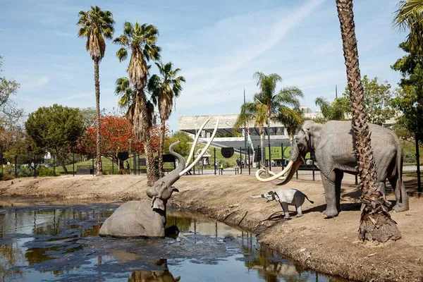 Unearth the Past: La Brea Tar Pits Adventure & Fossil Excavation
