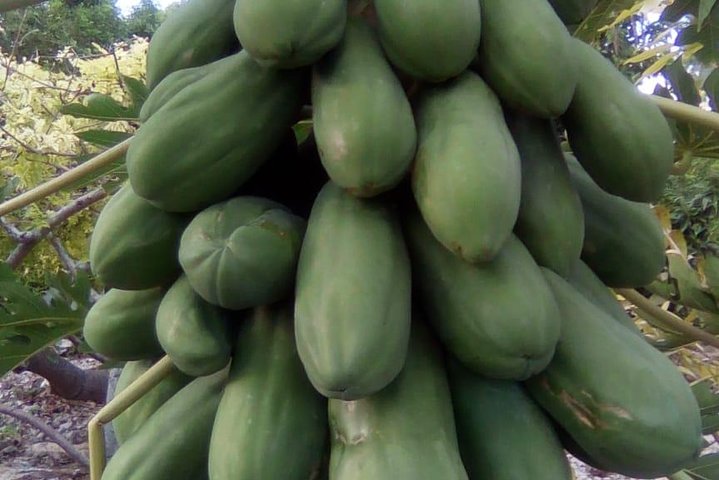 Experience Image img1