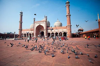 Unveiling Delhi's Majesty: A Personalized Day of Discovery