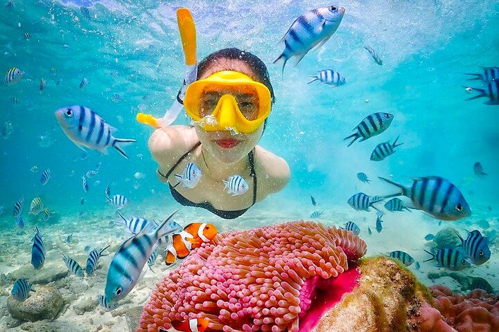 Phuket's Surin Islands Snorkeling Adventure: A Speedboat Day Trip to Paradise