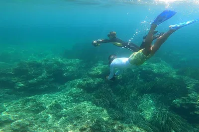 Scooter Snorkeling Adventure: Explore Monaco's Sea Life