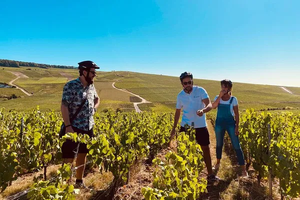 Champagne E-Bike Adventure: Cycle, Sip & Savor Reims' Vineyards