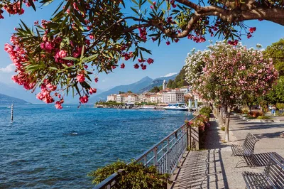Lake Como & Bellagio Day Trip from Milan