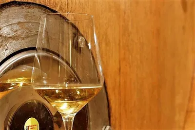 Venice Shore Excursion: Wine, Food & Fashion Escape