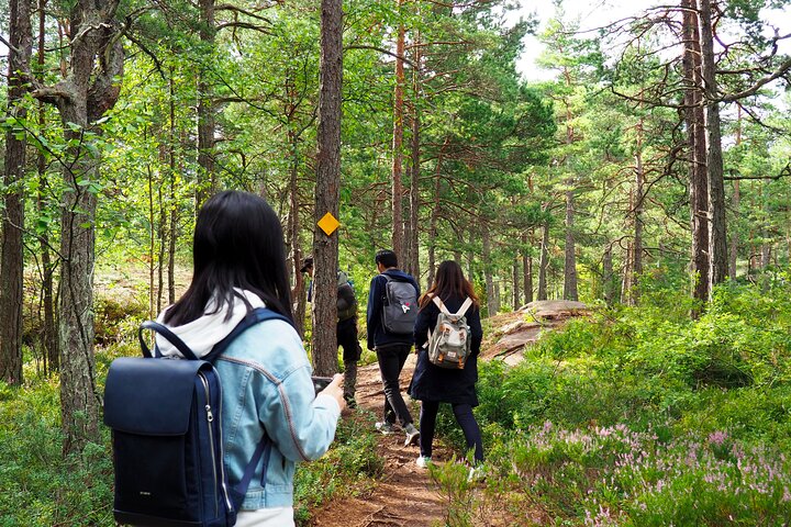 Experience Image img3