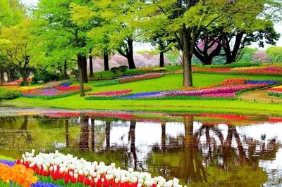 Unveiling Dutch Treasures: Keukenhof, Windmills & Cheese Farm Private Tour