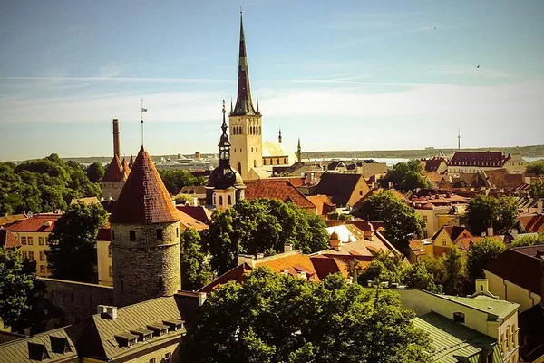 Unveiling Tallinn's Medieval Charm: A Personalized Old Town Walking Adventure