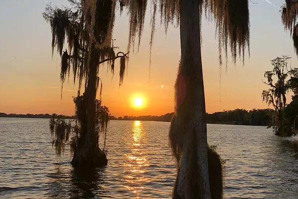 Pontoon Lake Tours: Winter Haven's Wildlife & Waterski Wonders!