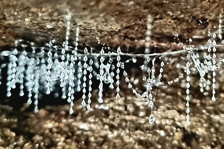 Experience Image img2