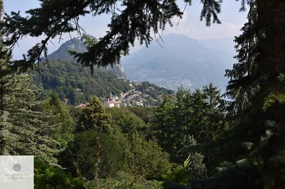 Capture San Grato's Beauty: A Botanical Photo Adventure!