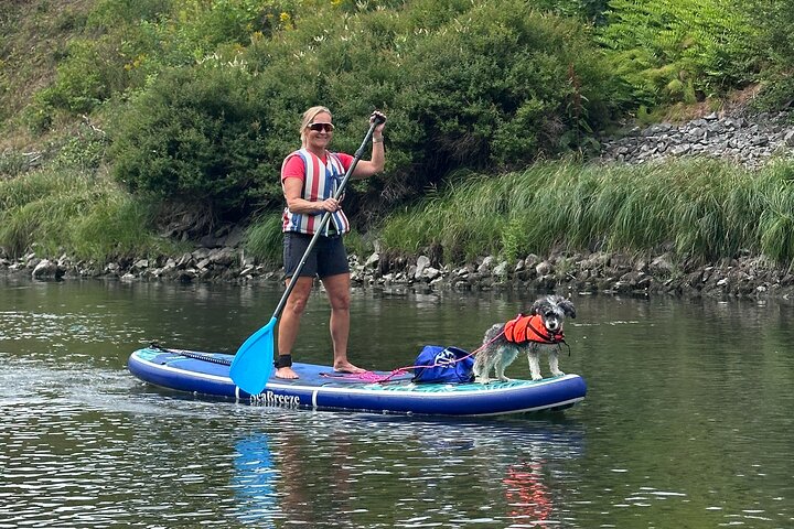 Experience Image img4