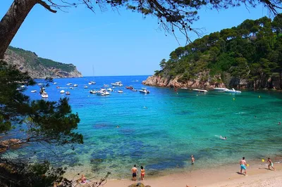 Girona & Costa Brava Tour: Small Group, Barcelona Pickup