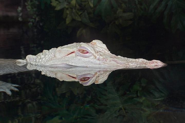 Experience Image img2