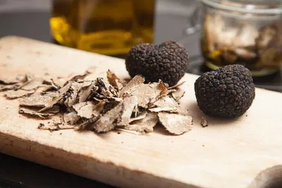 Tuscany Truffle Hunt & Feast: A Gourmet Adventure