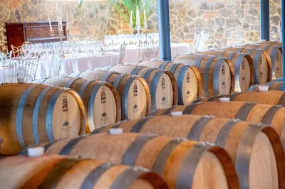 Tuscan Dream: Discover San Gimignano with Wine & Dine Experience