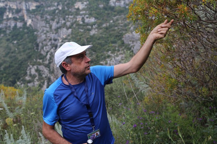 Experience Image img1