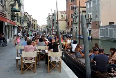 Venice Unveiled: Wine & Cicchetti Adventure in Hidden Bars