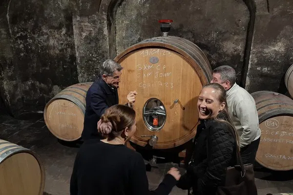 Priorat Wine Tour: 3 Wineries & Hotel Pickup