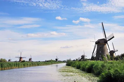 Explore Kinderdijk's Windmills & South Holland's Charms on a Private Day Tour