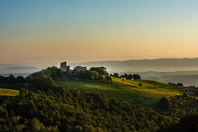 Savor Umbrian Terroir: Organic Wine Tasting at Torre Bisenzio