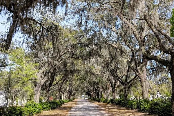 Uncover Savannah's Secrets: A Personalized Historic & Victorian Tour
