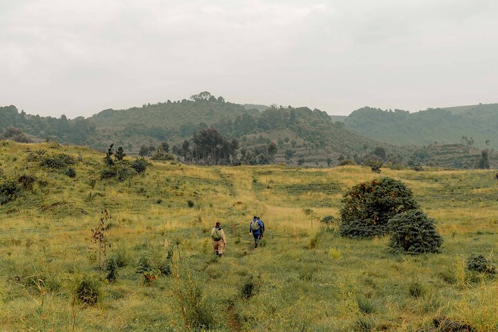 Experience Image img2