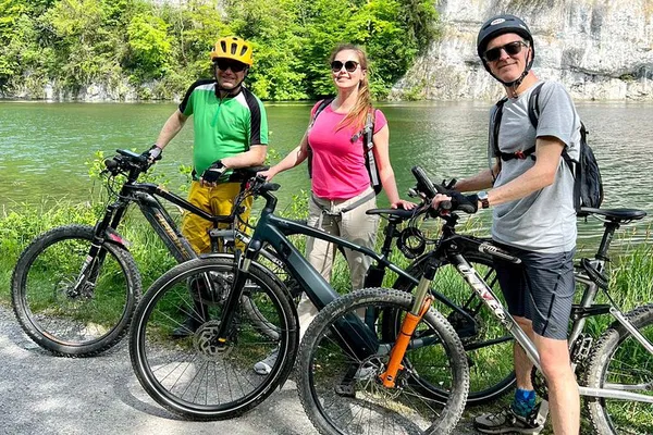 Golden Pass E-Bike Adventure: Lucerne's Scenic 4 Lakes & Cruise