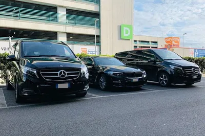 Stress-Free Arrival: Private Genoa Airport to Portofino Cruise Port Transfer