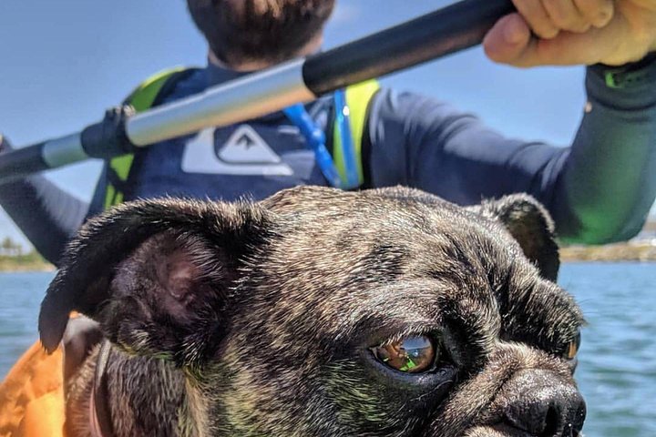 Experience Image img2