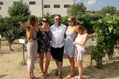Penedès Wine & Cava Tour: An Organic Vineyard & Catalan Tapas Adventure