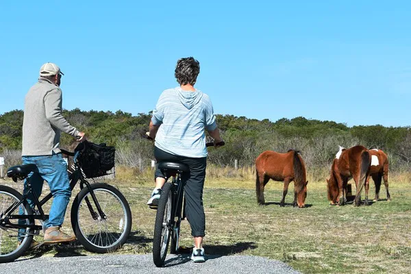 Assateague Island Bike Adventure: Pedal Through Paradise