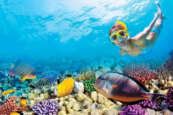Key West Adventure: Snorkel, Explore & Unwind with Open Bar!