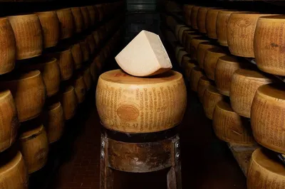 Modena's Marvels: A Culinary & Automotive Journey