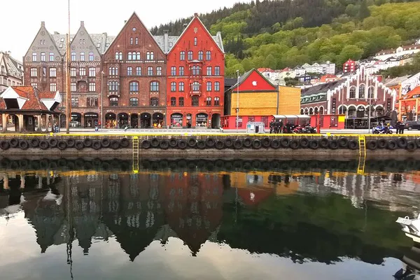 Bergen's Best: A Private Guided Tour Through History and Scenery